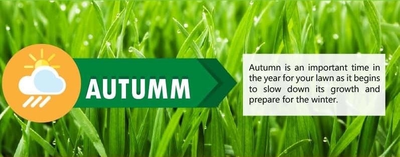 Lawn Care Tips for Autumn Season