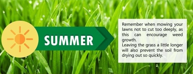 Lawn Care Tips for Summer Season