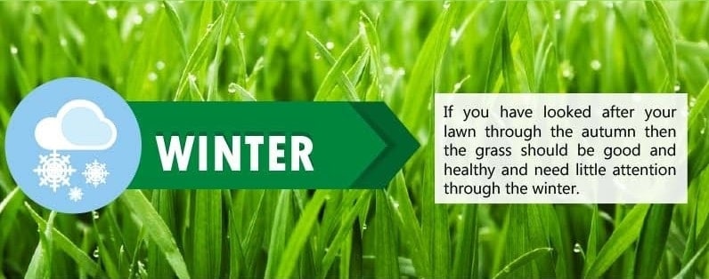 Lawn Care Tips for Winter Season