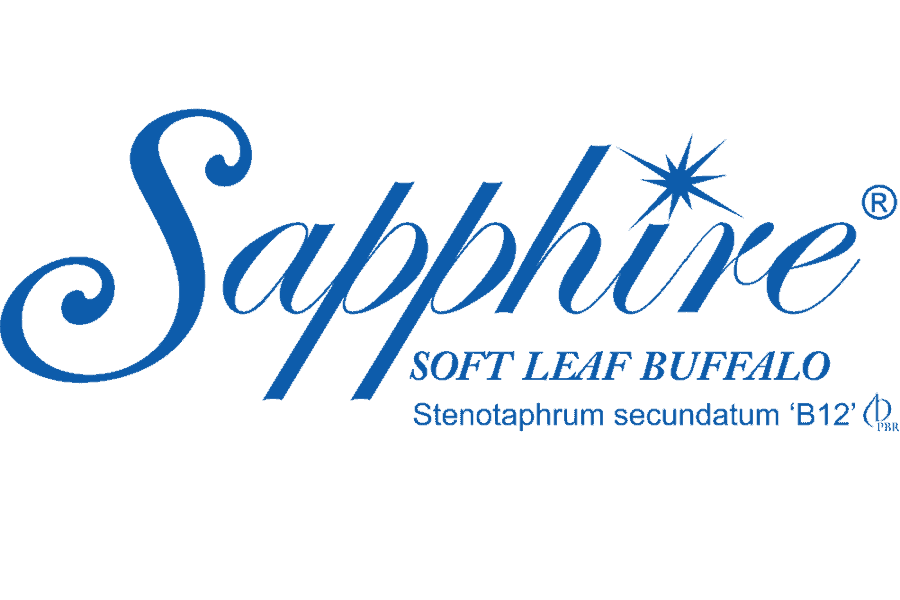Sapphire Turf 