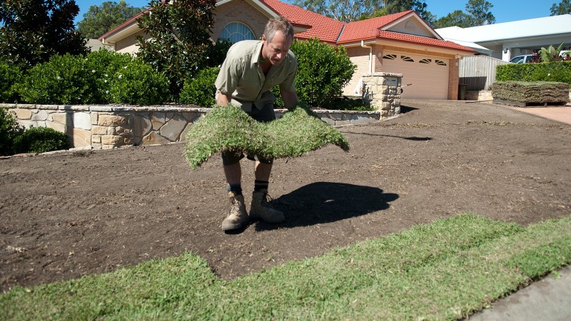 Step by step guide on how to laying turf rolls