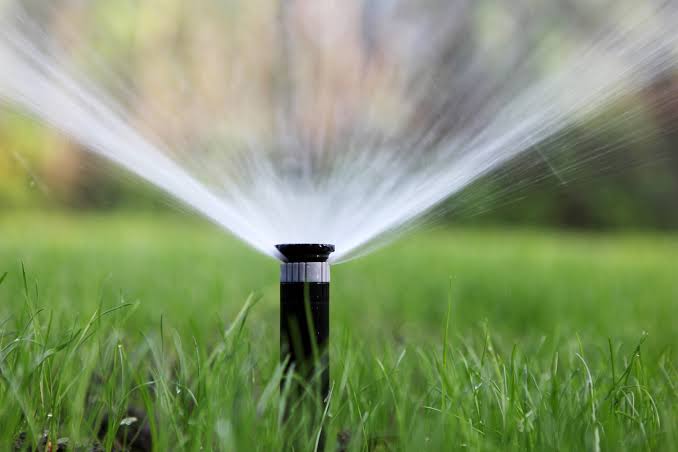 Irrigation systems for your home lawn