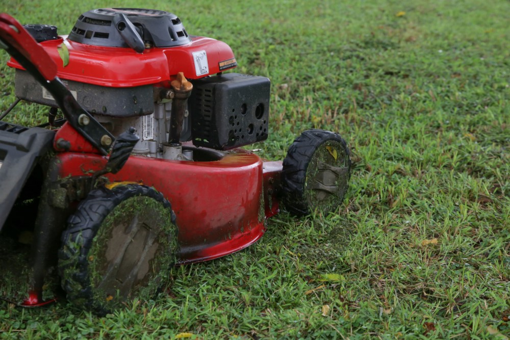 How Soon Can You Cut Grass After it Rains?