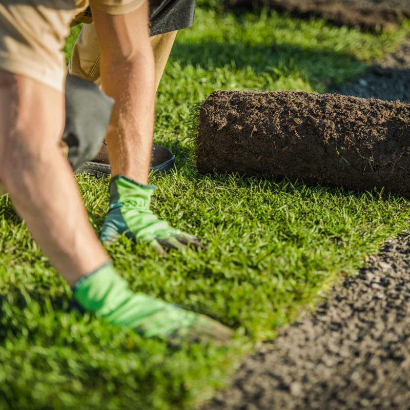 How to prepare your lawn for instant turf